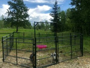 Sheep & Goat Mesh Panels