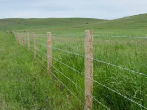 Barbed & Straight Wire