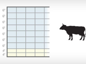 16'x50" Cattle Panel (4 Gauge)