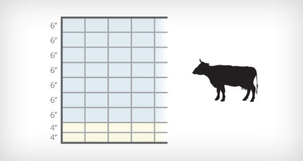 16'x50" Cattle Panel (4 Gauge)