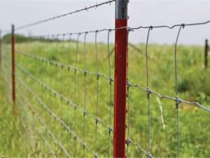 Field Fence / Paige Wire