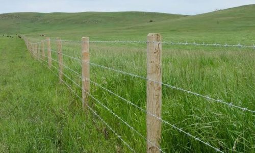 barbed-wire-fence-cover barbed-wire-fence-cover