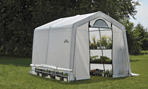 greenhouse-10x10x8_thumb greenhouse-10x10x8_thumb